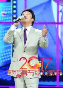 2017鸡年重庆卫视春晚