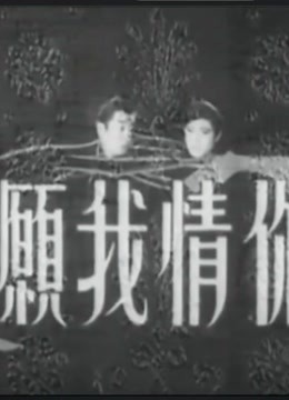 你情我愿1965