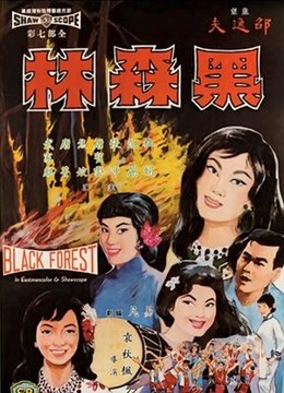 黑森林1964