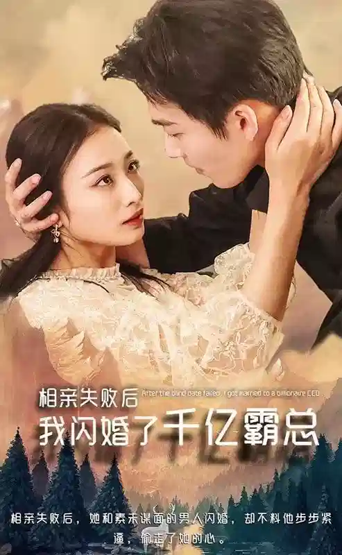 相亲失败,我闪婚了个千亿霸总